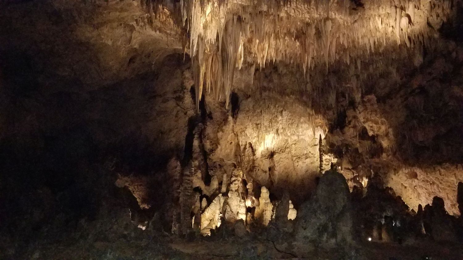 Carlsbad Caverns 